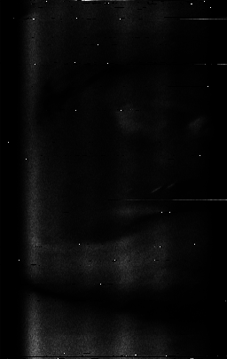 ascat_grayscale_ch2.png